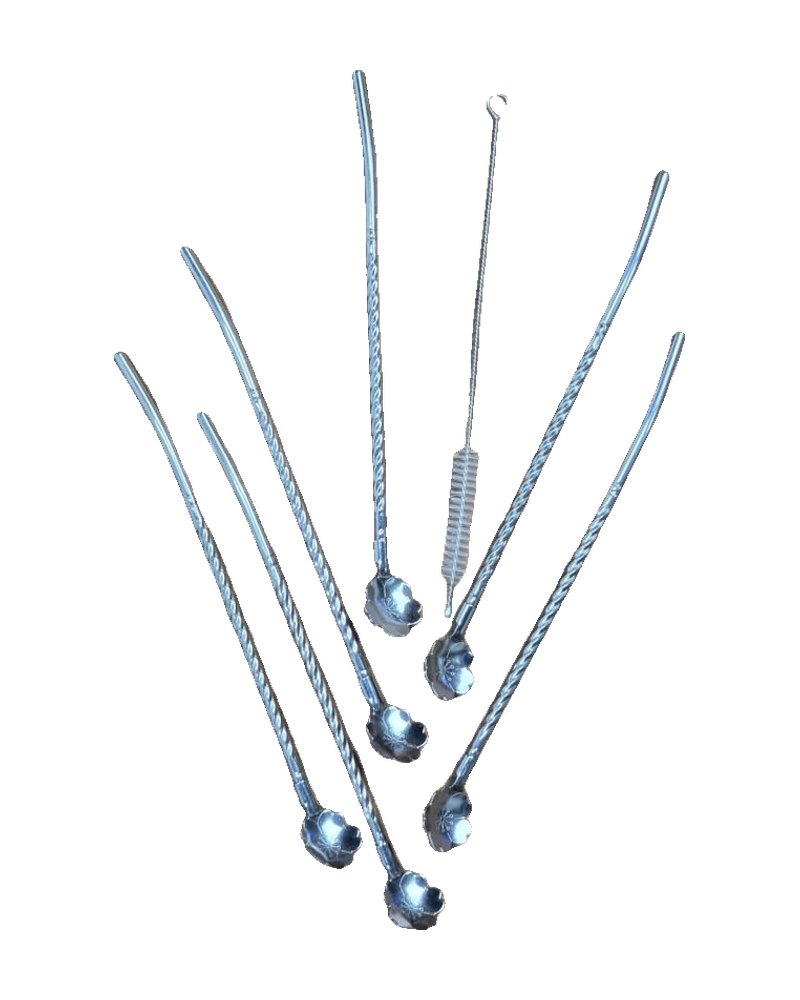 Straw Spoon (6 pcs set - Silver)